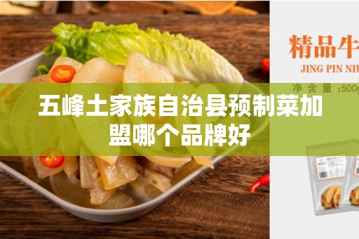 五峰土家族自治县预制菜加盟哪个品牌好