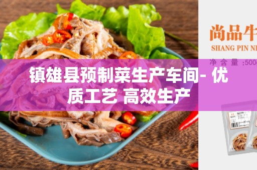镇雄县预制菜生产车间- 优质工艺 高效生产