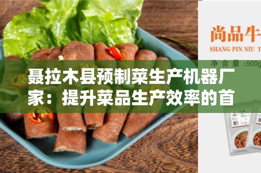 聂拉木县预制菜生产机器厂家：提升菜品生产效率的首选
