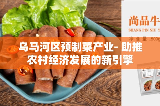 乌马河区预制菜产业- 助推农村经济发展的新引擎