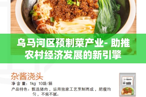乌马河区预制菜产业- 助推农村经济发展的新引擎