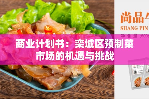 商业计划书：栾城区预制菜市场的机遇与挑战