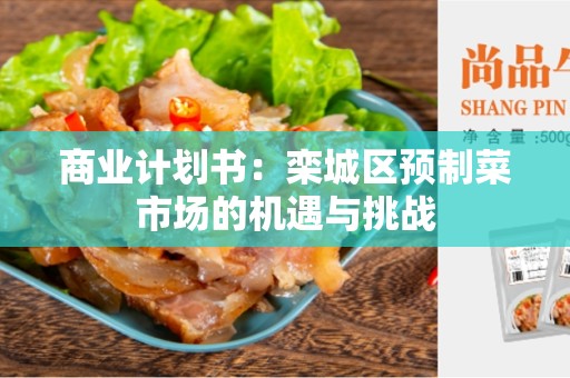 商业计划书：栾城区预制菜市场的机遇与挑战