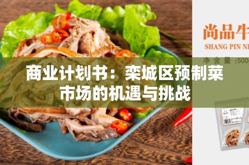 商业计划书：栾城区预制菜市场的机遇与挑战