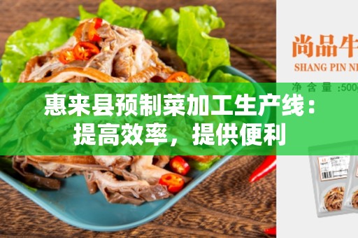 惠来县预制菜加工生产线：提高效率，提供便利