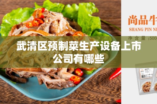 武清区预制菜生产设备上市公司有哪些