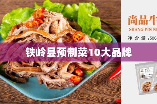 铁岭县预制菜10大品牌