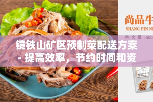 镜铁山矿区预制菜配送方案- 提高效率，节约时间和资源