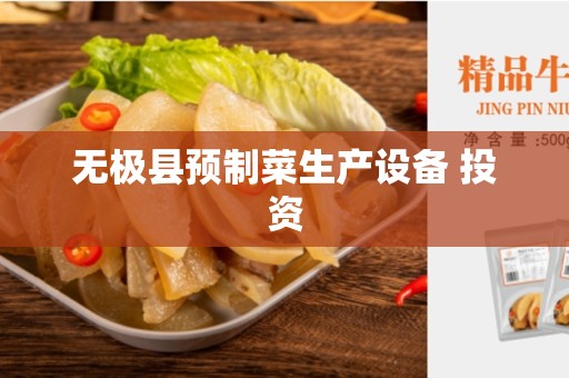 无极县预制菜生产设备 投资