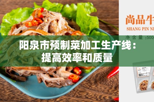 阳泉市预制菜加工生产线：提高效率和质量