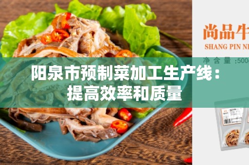 阳泉市预制菜加工生产线：提高效率和质量