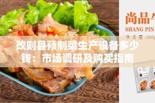 改则县预制菜生产设备多少钱：市场调研及购买指南
