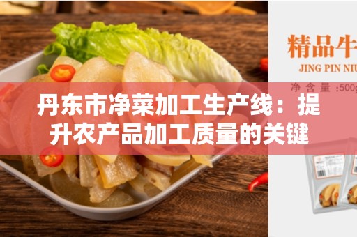 丹东市净菜加工生产线：提升农产品加工质量的关键