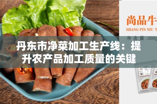 丹东市净菜加工生产线：提升农产品加工质量的关键