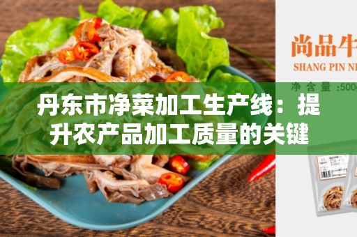 丹东市净菜加工生产线：提升农产品加工质量的关键