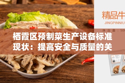 栖霞区预制菜生产设备标准现状：提高安全与质量的关键
