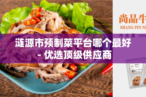 涟源市预制菜平台哪个最好 - 优选顶级供应商