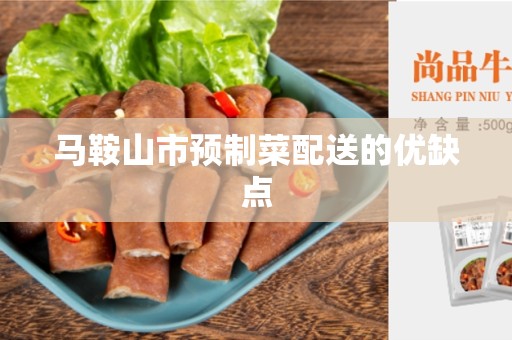 马鞍山市预制菜配送的优缺点