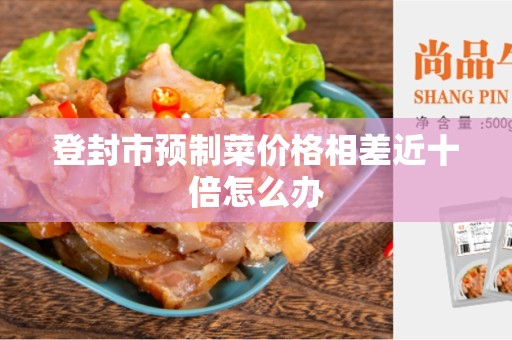 登封市预制菜价格相差近十倍怎么办