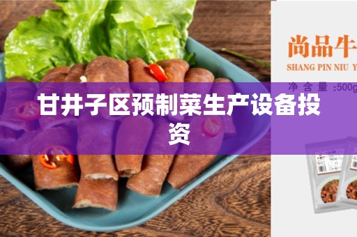 甘井子区预制菜生产设备投资