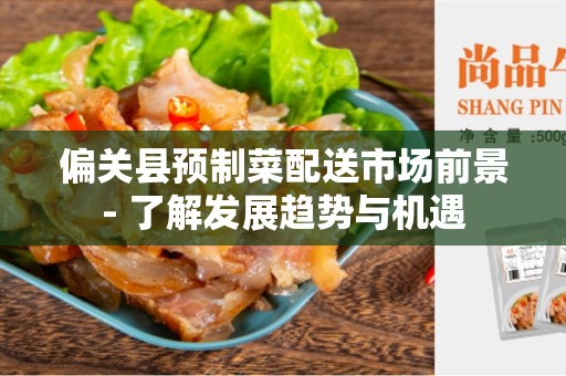 偏关县预制菜配送市场前景- 了解发展趋势与机遇