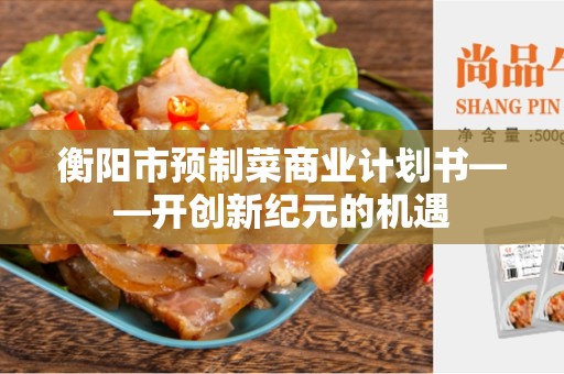 衡阳市预制菜商业计划书——开创新纪元的机遇