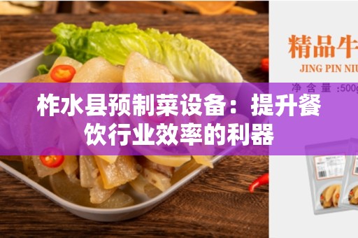 柞水县预制菜设备：提升餐饮行业效率的利器