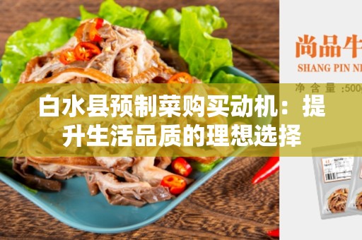 白水县预制菜购买动机：提升生活品质的理想选择