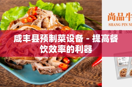 咸丰县预制菜设备 - 提高餐饮效率的利器