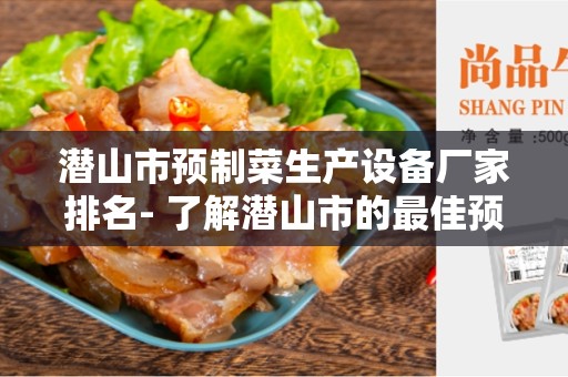 潜山市预制菜生产设备厂家排名- 了解潜山市的最佳预制菜生产设备厂家