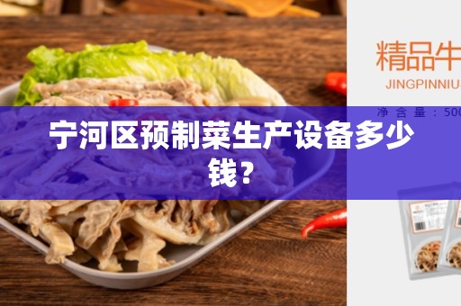 宁河区预制菜生产设备多少钱？
