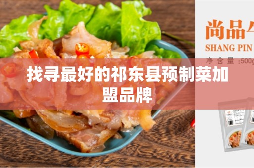 找寻最好的祁东县预制菜加盟品牌