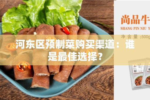 河东区预制菜购买渠道：谁是最佳选择？