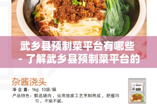 武乡县预制菜平台有哪些 - 了解武乡县预制菜平台的不同选择