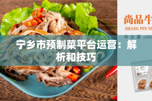 宁乡市预制菜平台运营：解析和技巧