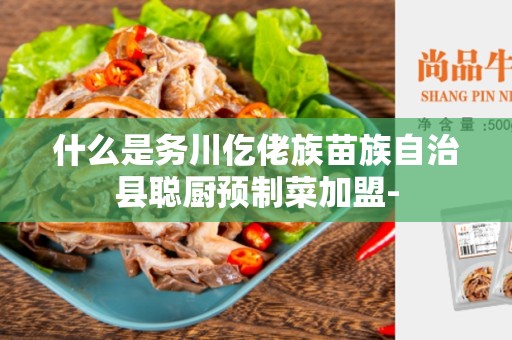什么是务川仡佬族苗族自治县聪厨预制菜加盟-