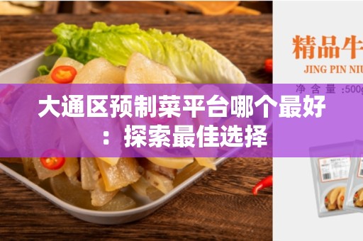 大通区预制菜平台哪个最好：探索最佳选择