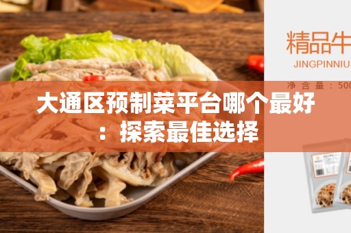大通区预制菜平台哪个最好：探索最佳选择