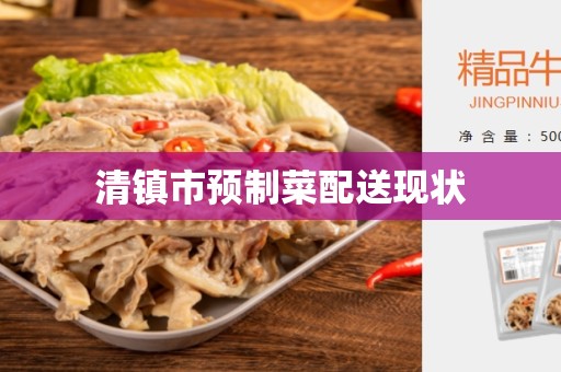 清镇市预制菜配送现状