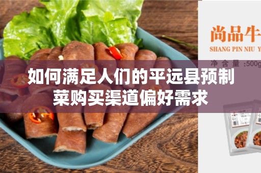 如何满足人们的平远县预制菜购买渠道偏好需求