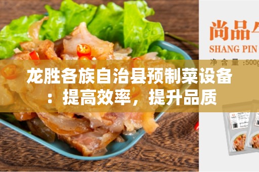 龙胜各族自治县预制菜设备：提高效率，提升品质
