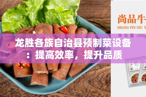 龙胜各族自治县预制菜设备：提高效率，提升品质
