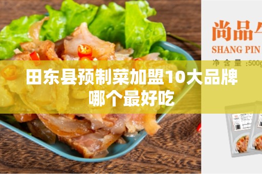 田东县预制菜加盟10大品牌哪个最好吃