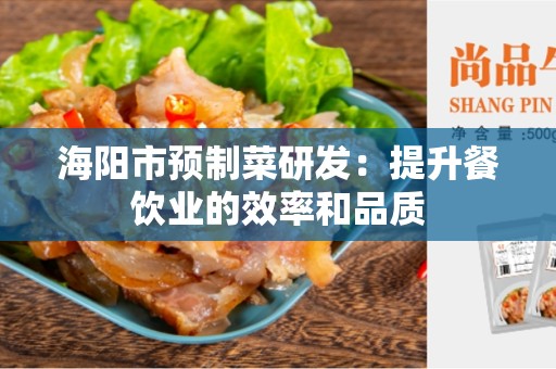 海阳市预制菜研发：提升餐饮业的效率和品质