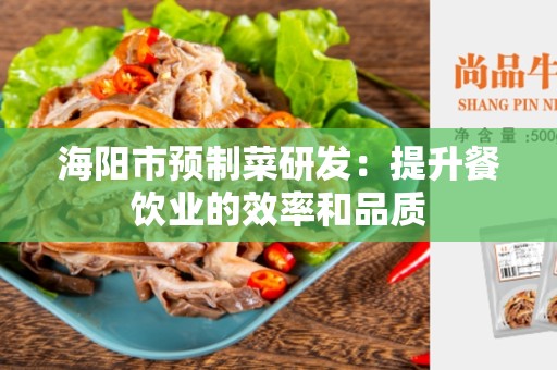 海阳市预制菜研发：提升餐饮业的效率和品质