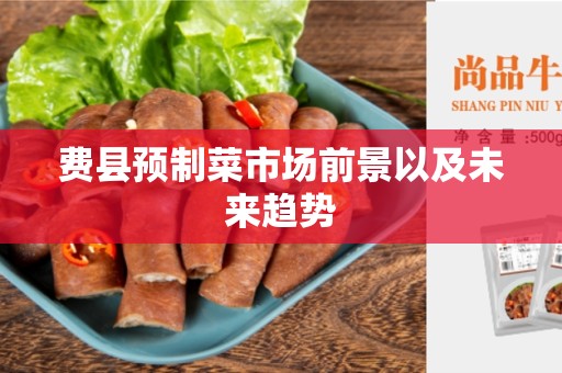 费县预制菜市场前景以及未来趋势