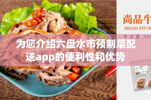 为您介绍六盘水市预制菜配送app的便利性和优势