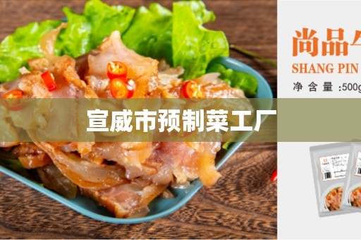 宣威市预制菜工厂