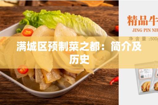 满城区预制菜之都：简介及历史