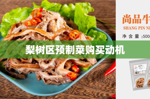 梨树区预制菜购买动机